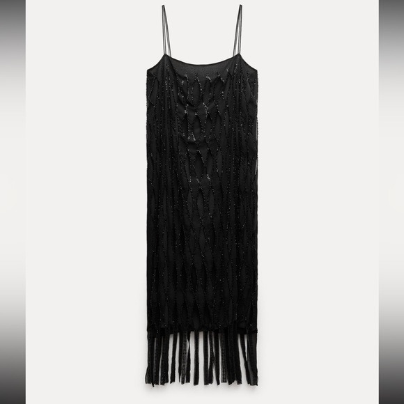 Zara fringe sequin dress - Picture 10 of 11